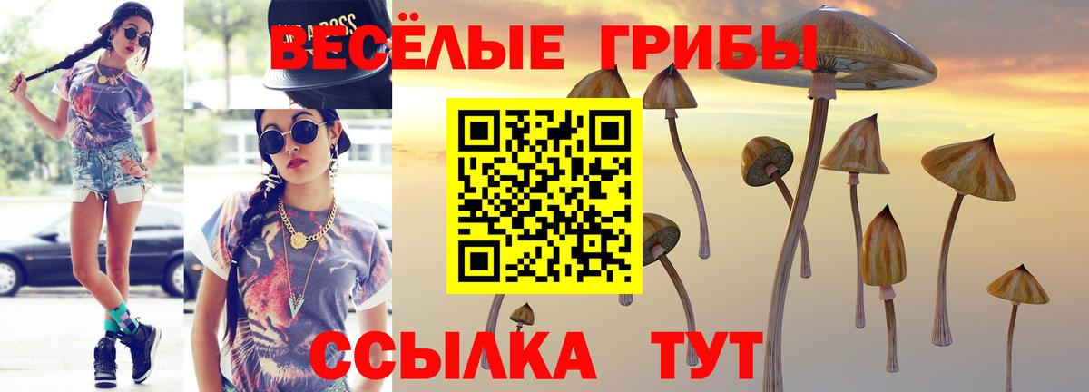 Галлюциногенные грибы мицелий  Вход с VPN  Апшеронск  где купить наркоту  Галлюциногенные грибы Psilocybine cubensis 